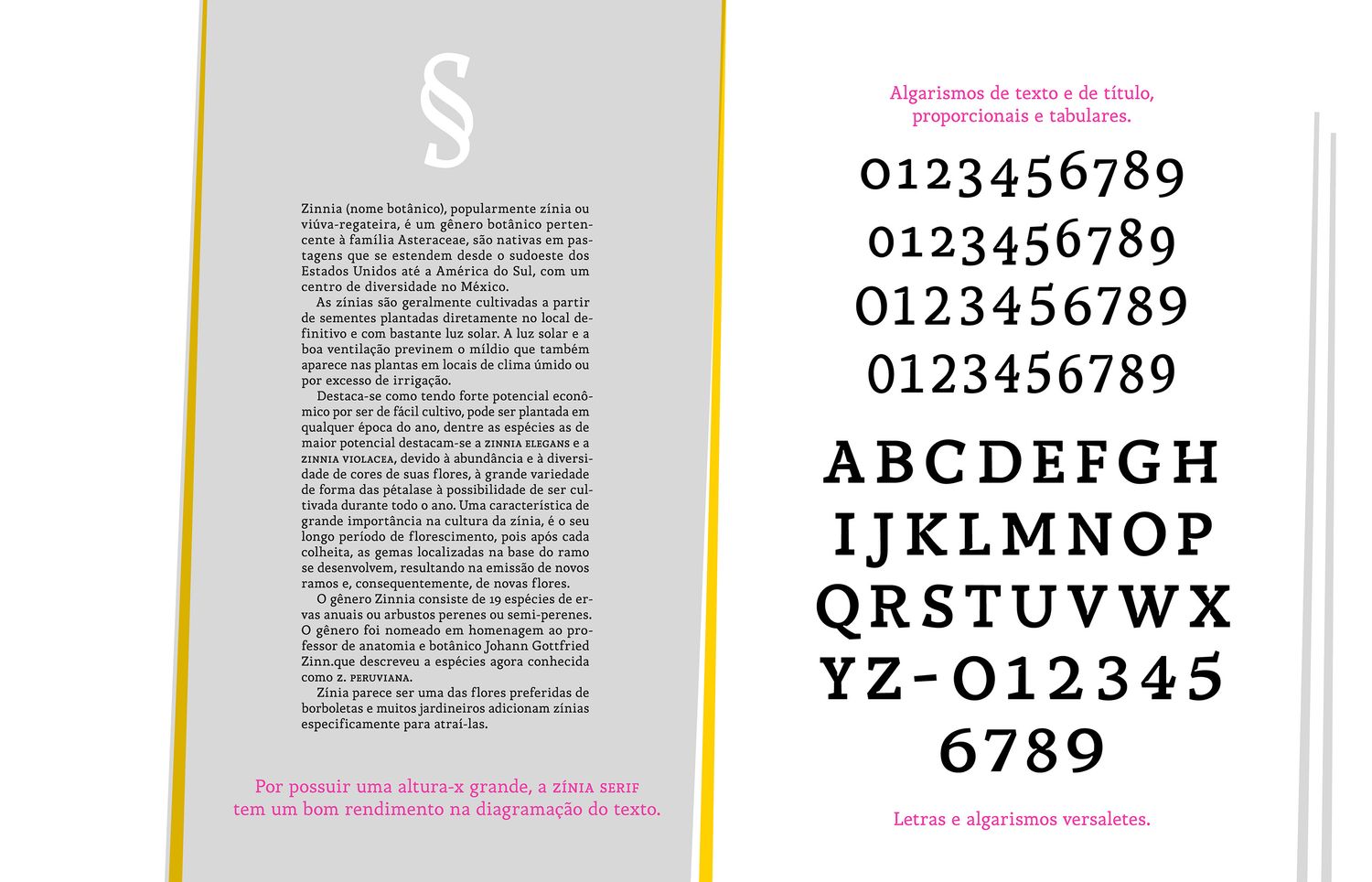 Picture of the work “Zínia Typeface”