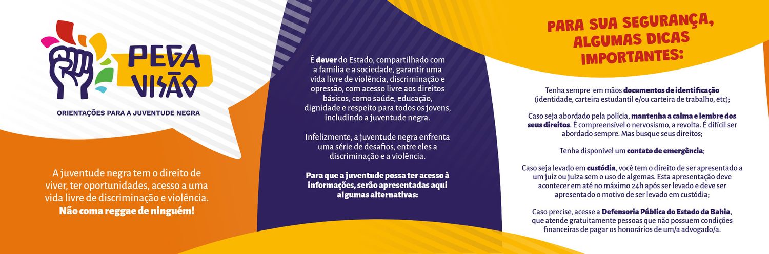 Picture of the work ““Pega Visão”: Rights of Black Youth”
