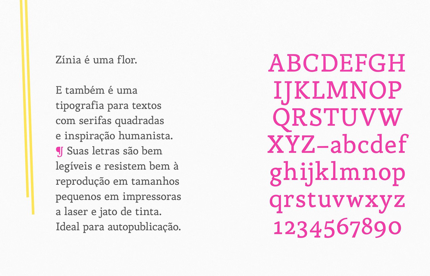 Picture of the work “Zínia Typeface”